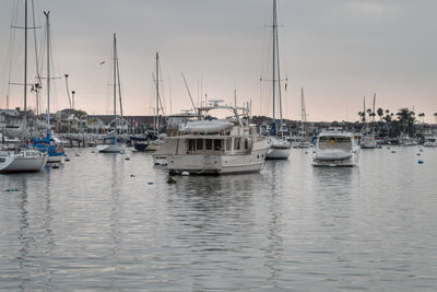 Sailboats moored at harbor