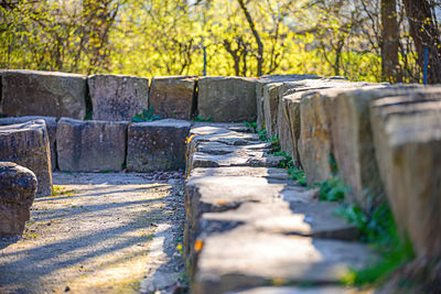 View of stone wall in forest