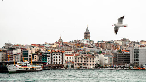 Boats in bosphorus by buildings against clear sky