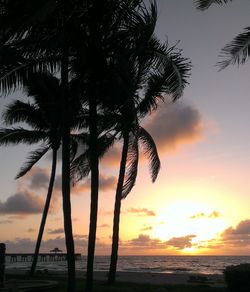 Silhouette palm trees at beach against sky during sunset