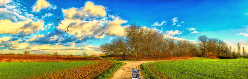 Panoramic shot of land against sky