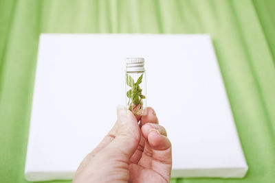 Cropped hand holding light bulb