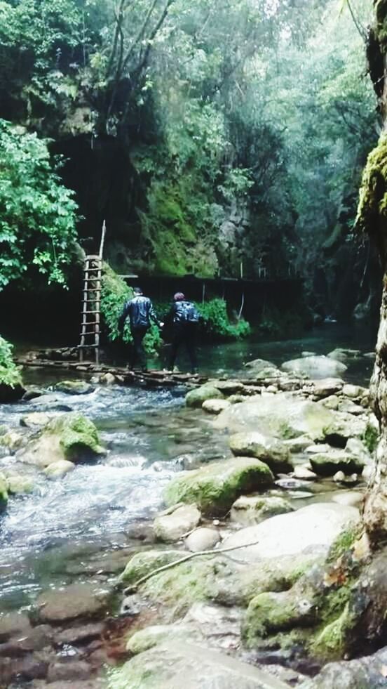 Puente de dios  Pinal de Amoles Querétaro