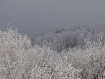 Scenic view of snow covered land against sky