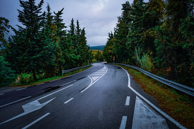 Road amidst trees in city against sky