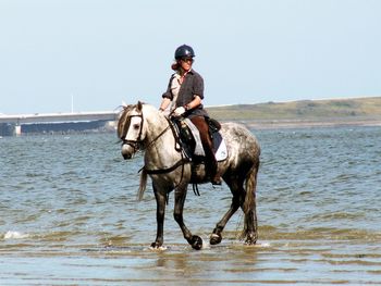 Man riding horse on sea against clear sky
