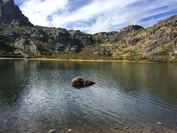 Ducks on lake by mountain against sky