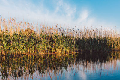 Scenic view of lake against sky