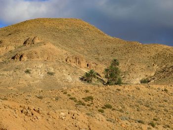 Scenic view of desert against sky