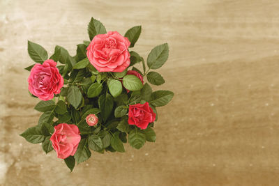 High angle view of rose bouquet