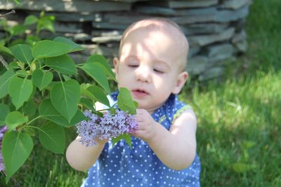 Close-up of cute baby boy holding plant