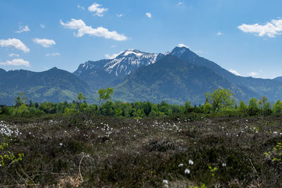 Scenic view of field and mountains against sky