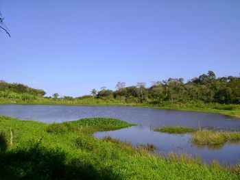 Scenic view of lake against clear blue sky