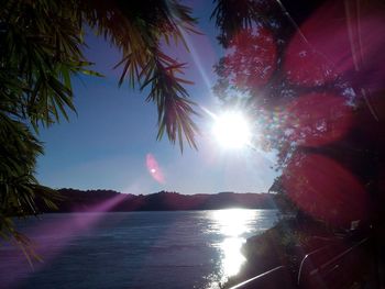 Sun shining over trees and mountains against sky