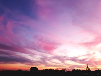 Silhouette trees against dramatic sky during sunset