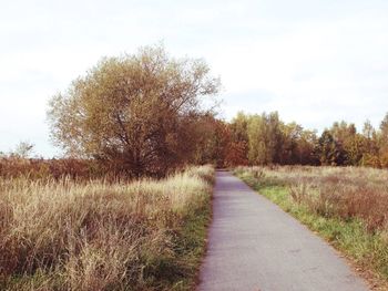 Road passing through field