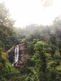 Scenic view of waterfall in forest against sky