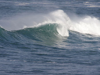 Scenic view of sea