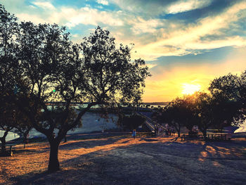 Trees on field against sky during sunset