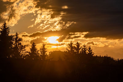 Silhouette trees against sky during sunset