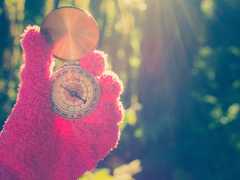 Close-up of persona holding navigational compass against tree