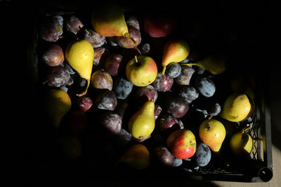 High angle view of grapes