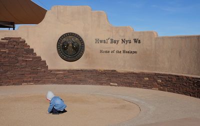 Rear view of man sitting on wall