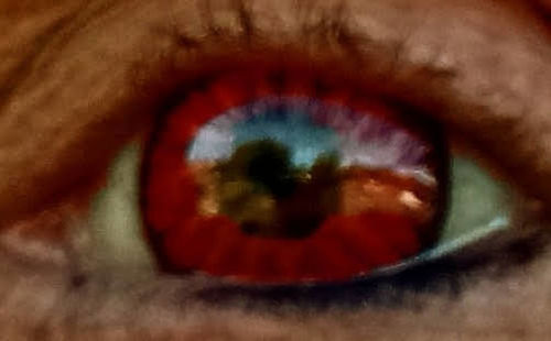 human eye