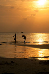 Scenic view of sea during sunset