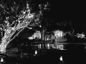 Illuminated tree against sky at night