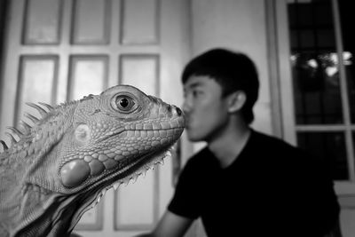 Close-up of iguana with young man in background at home
