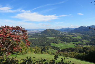 Scenic view of landscape against sky