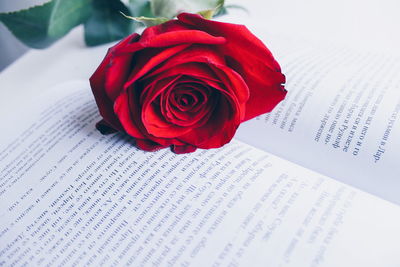 Close-up of red rose on book