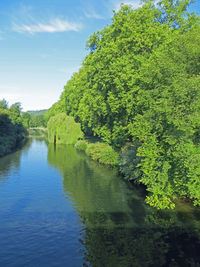 Scenic view of river in forest against sky