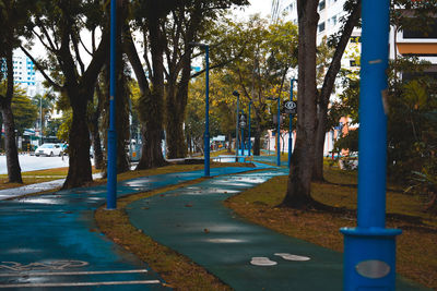 Road by trees in park