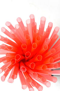 High angle view of red gerbera against white background