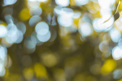 Defocused image of blurred background