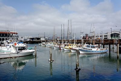 Sailboats moored on harbor against sky