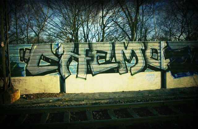 tree, text, bare tree, western script, graffiti, branch, no people, outdoors, communication, day, railing, art, built structure, auto post production filter, nature, wood - material, art and craft, capital letter, creativity, sunlight