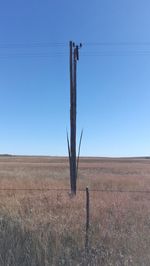 Bare tree on field against clear sky