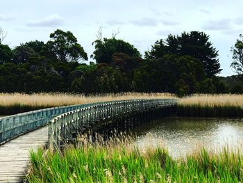 Scenic view of grassy field by lake against sky