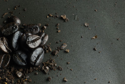 High angle view of crab on sand