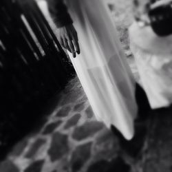 Close-up of surface level of leaf