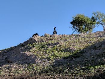 Man climbing on mountain against clear sky