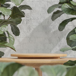 Close-up of leaves on table against wall