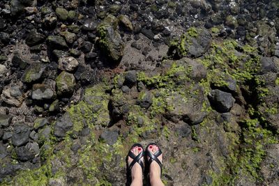 Low section of woman standing on rock