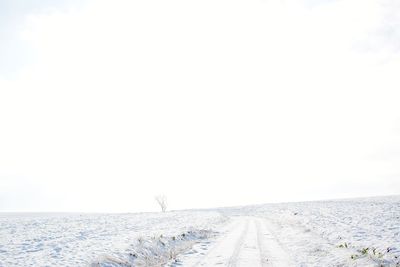 Scenic view of road against clear sky