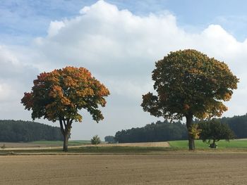 Trees on field against sky during autumn