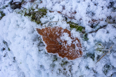 High angle view of snow covered land