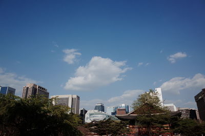 Trees and buildings against blue sky